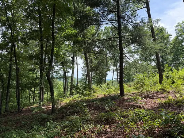 Lot 20 Lake Top Lane, Ellijay, GA 30540