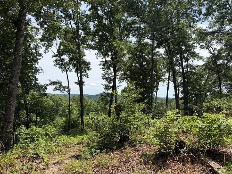 Lot 20 Lake Top Lane, Ellijay, GA 30540 - #2