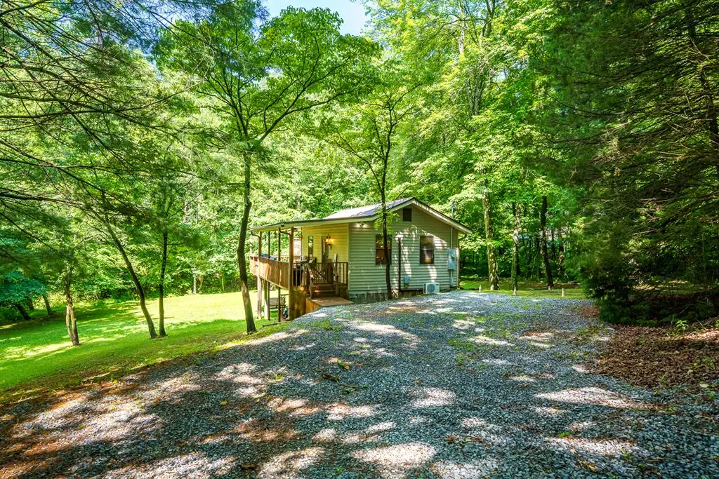 1643 Lucius Road, Cherry Log, GA 30522 - #1