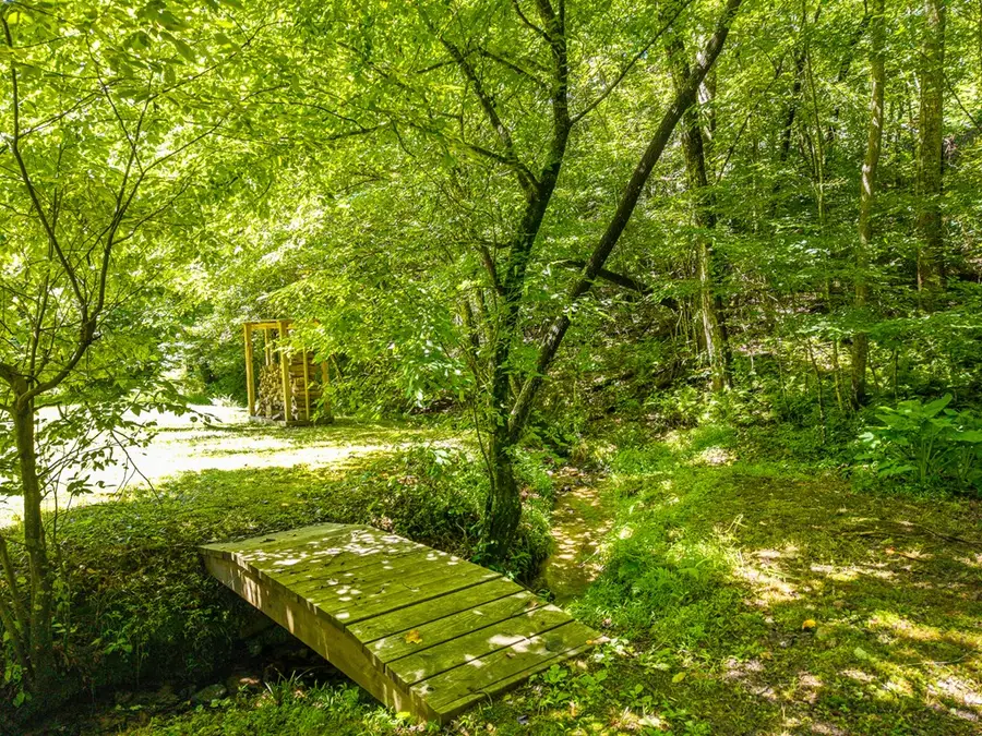 1643 Lucius Road, Cherry Log, GA 30522 - #3