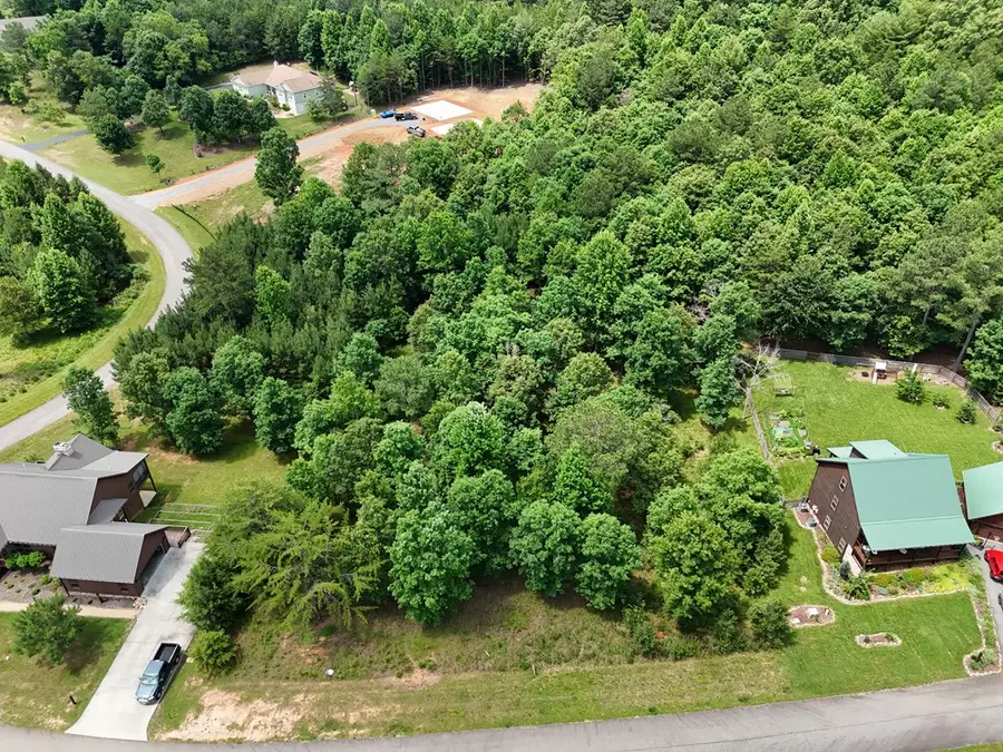 0 Village Loop, Blairsville, GA 30512 - #2