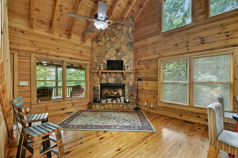 782 Scenic Mountain View Road, Blue Ridge, GA 30513 - #3