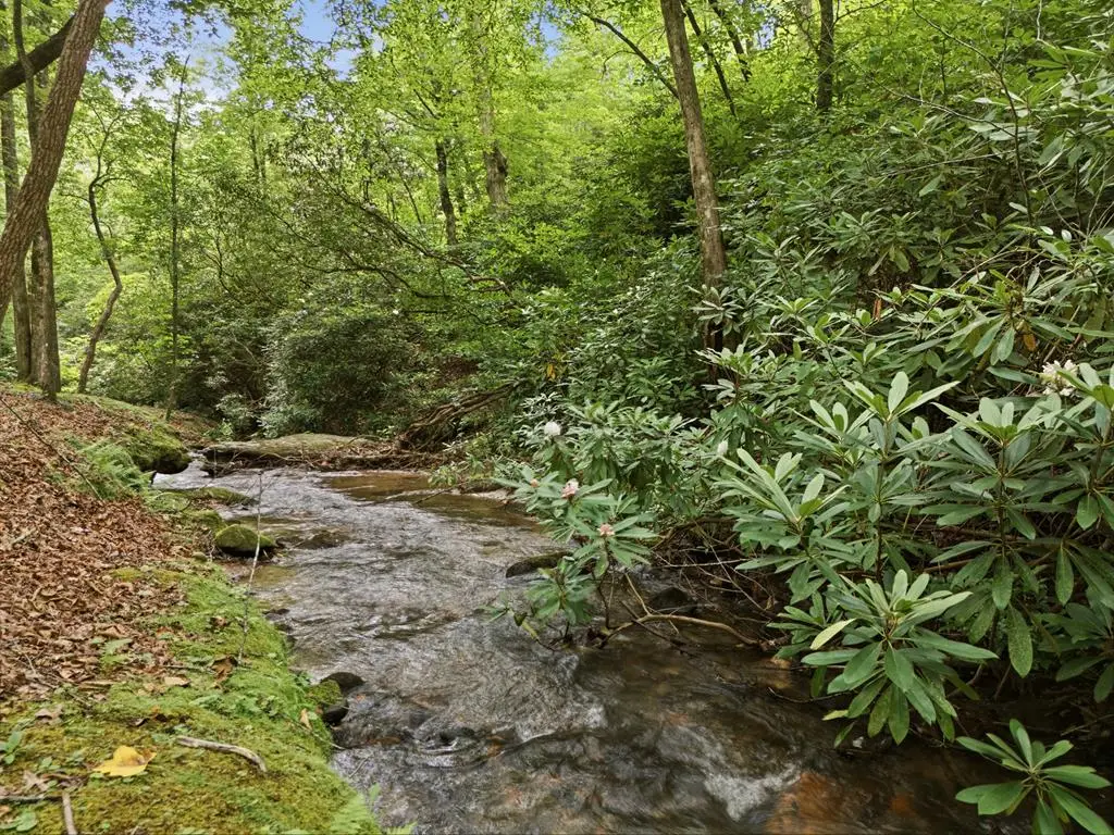 86 Pounding Mill Creek, Hayesville, NC 28904 - #1