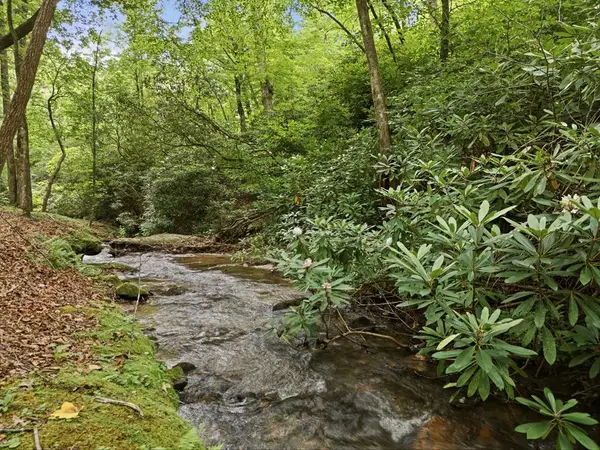 86 Pounding Mill Creek, Hayesville, NC 28904