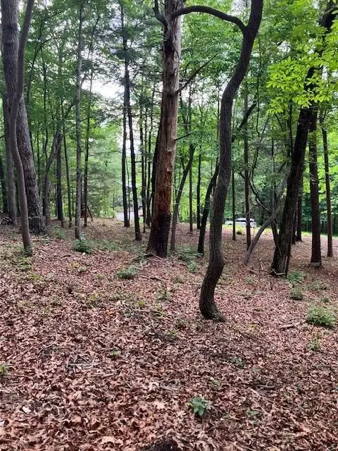Lot 140 Red Oak Trail, Ellijay, GA 30540 - #3