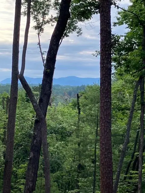 Lot 132 Red Oak Trail, Ellijay, GA 30540 - #1