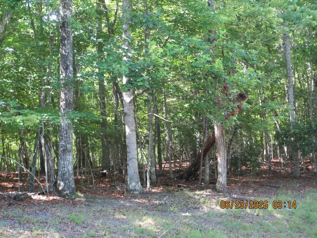Lot 8 S Quail Cove Circle, Warne, NC 28909 - #1