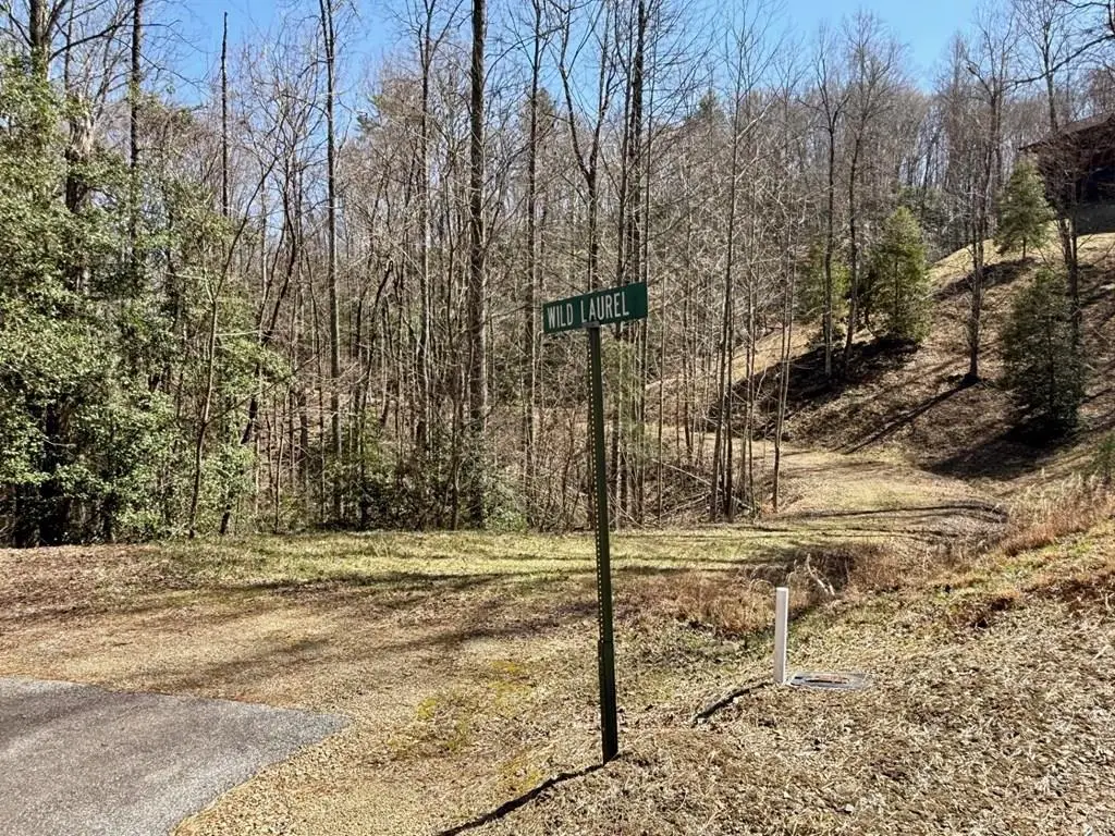 Lot 3 Wild Laurel, Brasstown, NC 28902 - #1