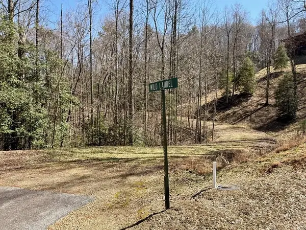 Lot 3 Wild Laurel, Brasstown, NC 28902