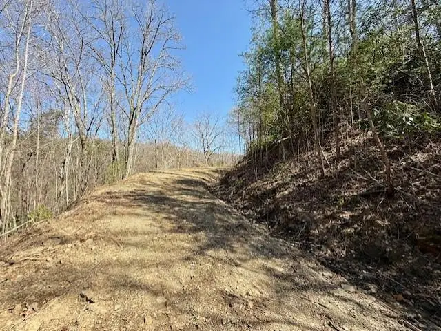 Lot 3 Wild Laurel, Brasstown, NC 28902 - #2