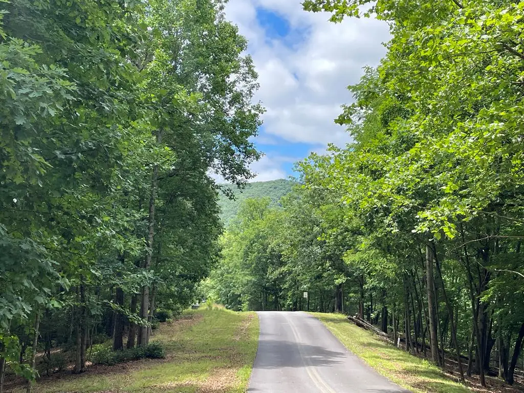 Lot 57 Asheland Overlook, Young Harris, GA 30582 - #1
