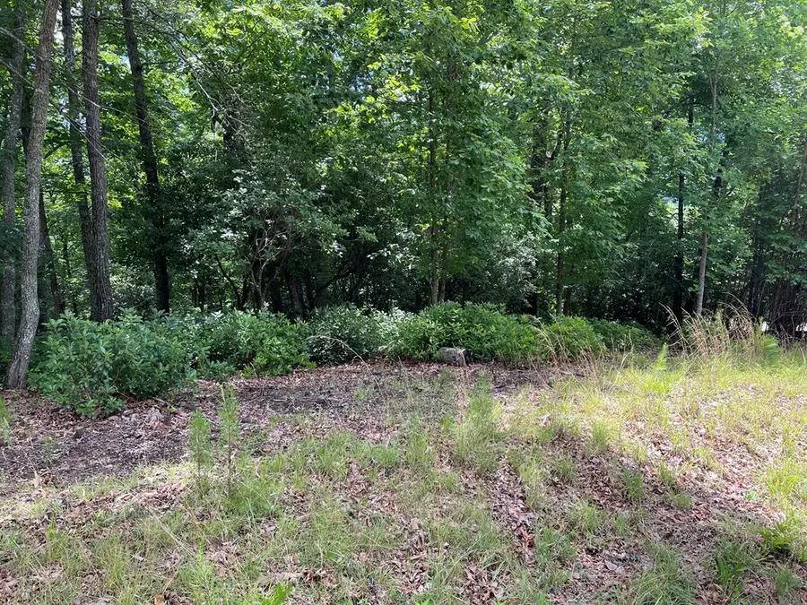 Lot 57 Asheland Overlook, Young Harris, GA 30582 - #2