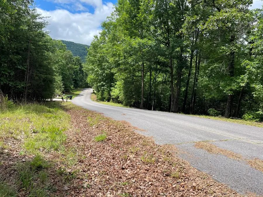 Lot 57 Asheland Overlook, Young Harris, GA 30582 - #3
