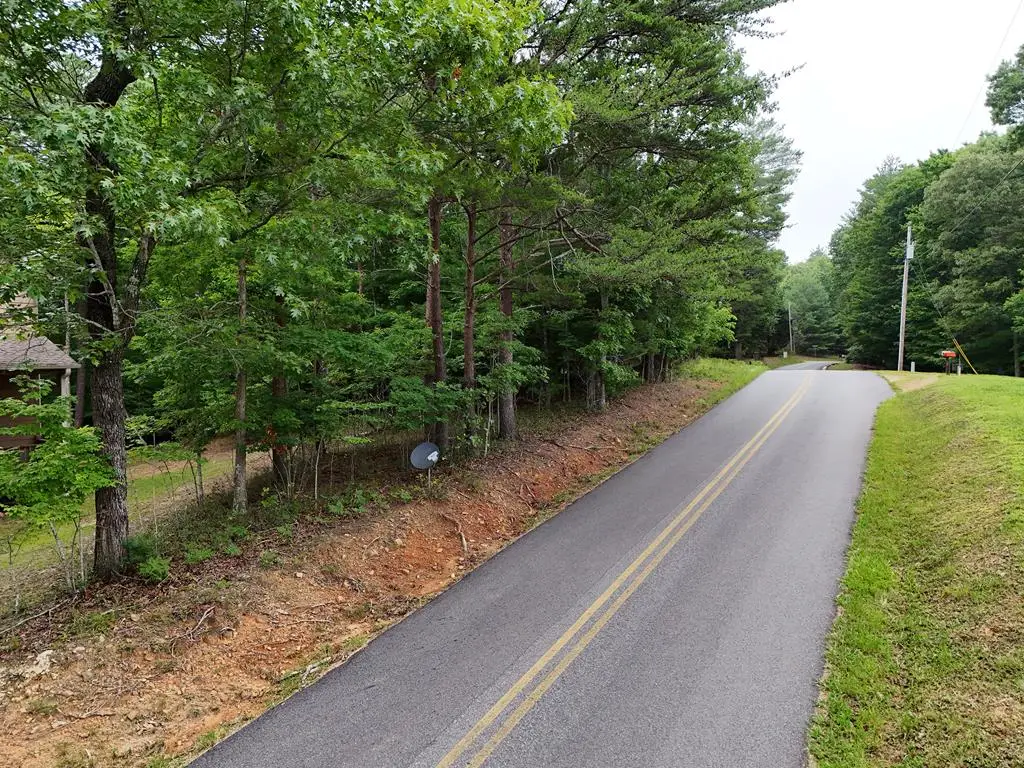 Lot 3 Cook Henry Road, Blairsville, GA 30512 - #1