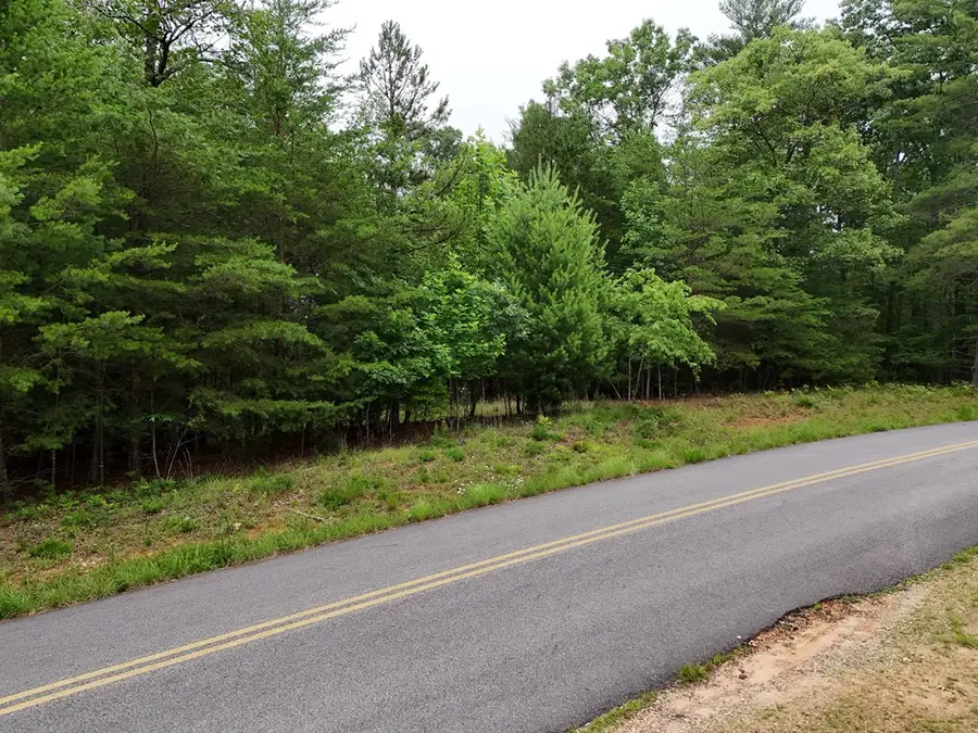 Lot 3 Cook Henry Road, Blairsville, GA 30512 - #2