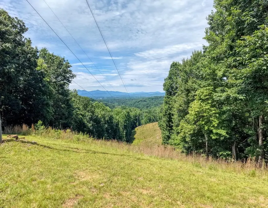 343 Haines Mountain Road, Blairsville, GA 30512 - #3