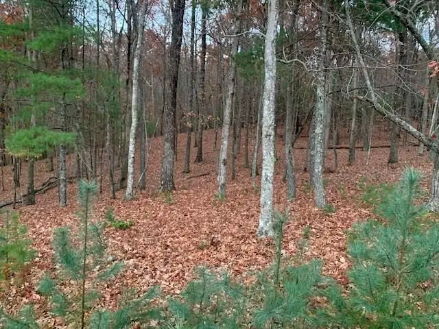 Lot 4 Courtney Lane, Blairsville, GA 30512 - #1