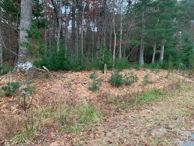 Lot 4 Courtney Lane, Blairsville, GA 30512 - #2
