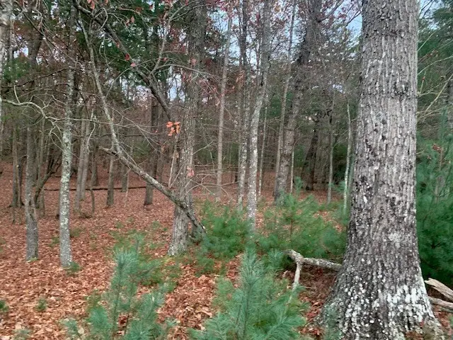 Lot 4 Courtney Lane, Blairsville, GA 30512 - #3