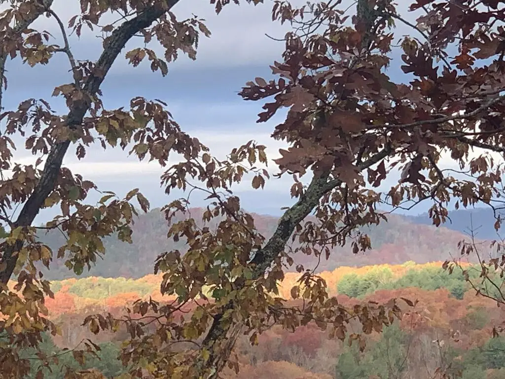 Lot 24 Grand Laurel, Brasstown, NC 28902 - #1