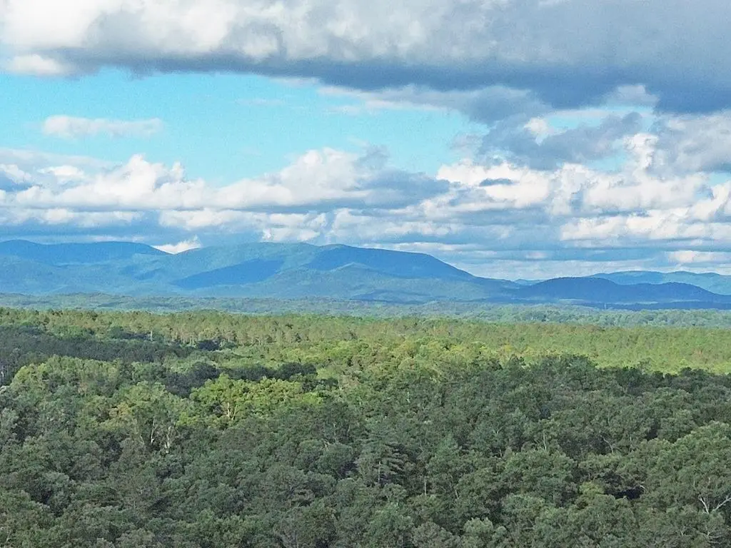 Lot 20 Mt. Springer Road, Ellijay, GA 30540 - #1