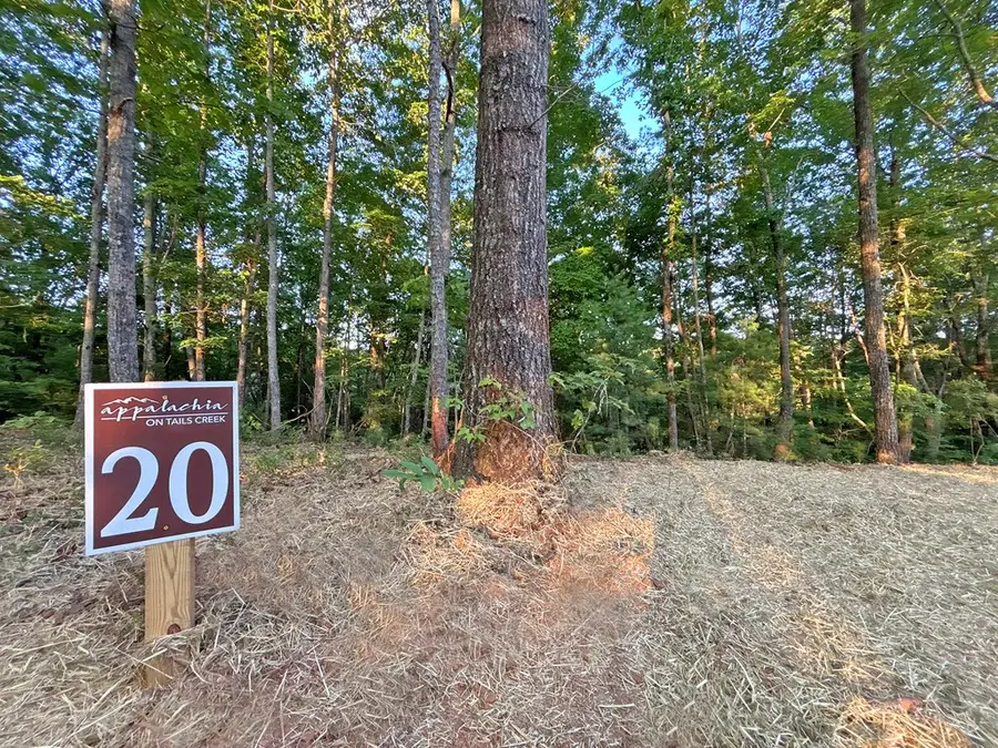 Lot 20 Mt. Springer Road, Ellijay, GA 30540 - #2