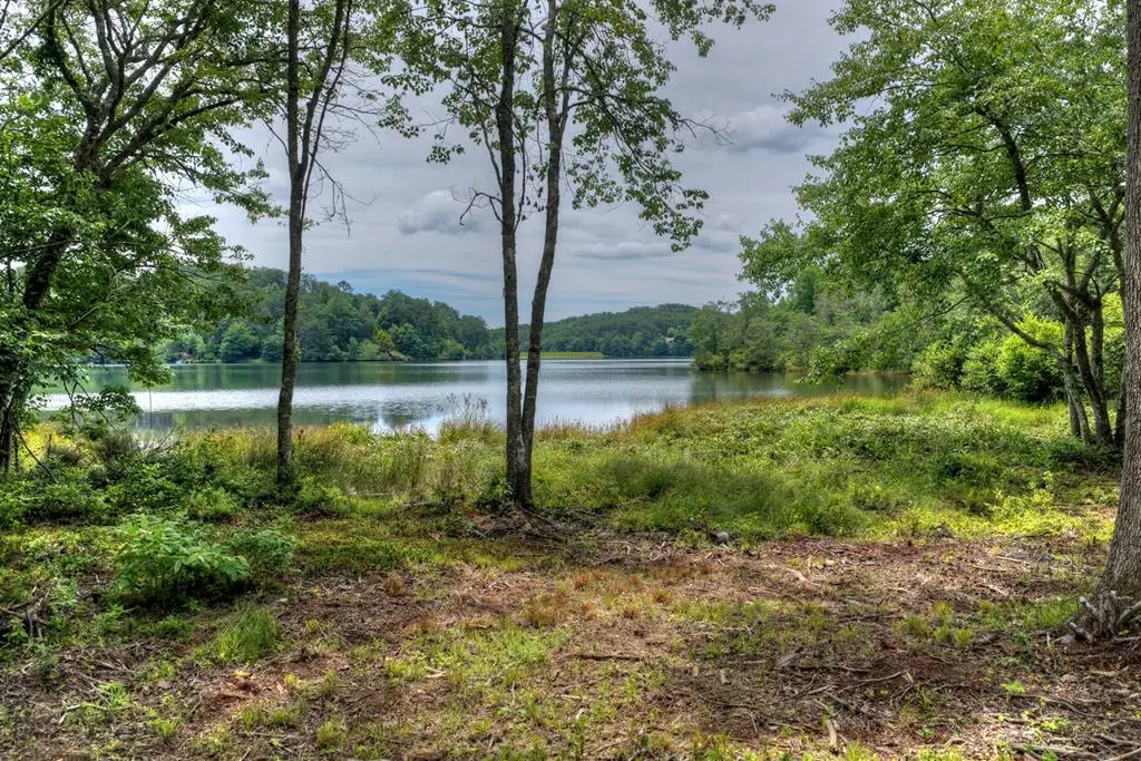 00 Campbell Cove Road, Turtletown, TN 37391 - #1