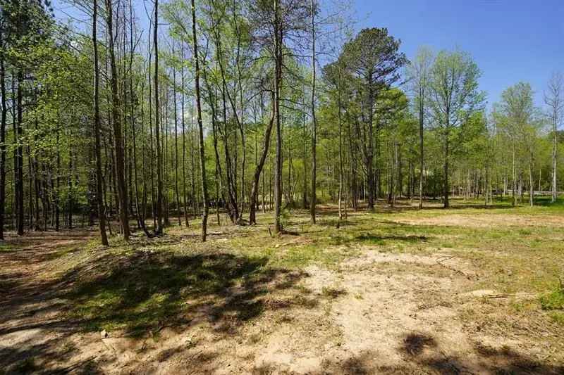 1600 Sperin Road, Ball Ground, GA 30107 - #3