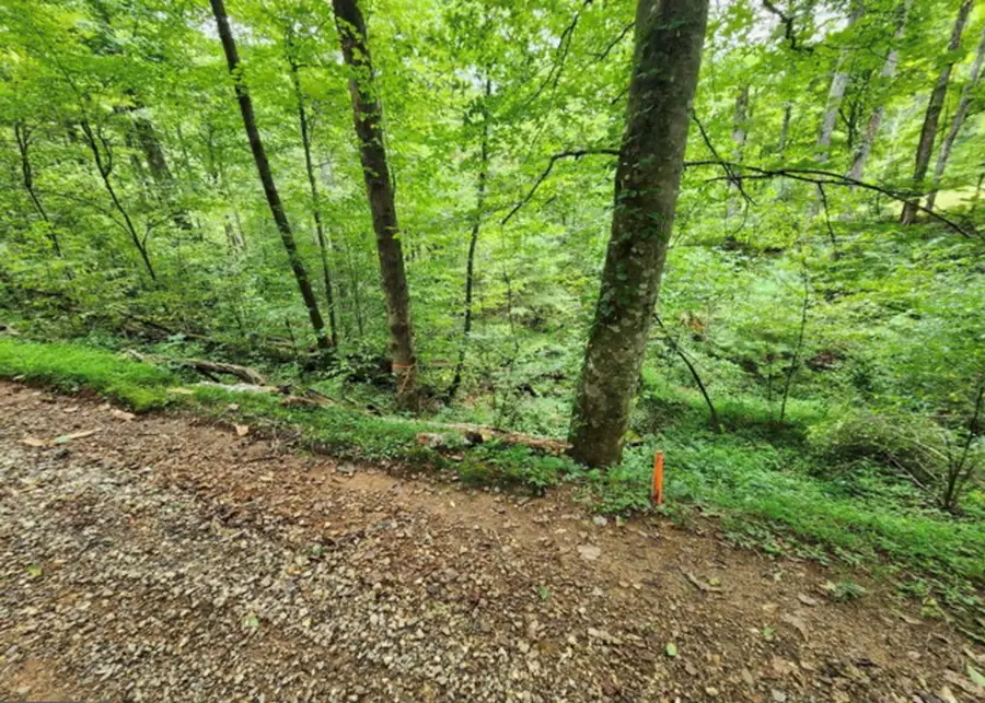 2B Poplar Cove, Suches, GA 30572 - #2