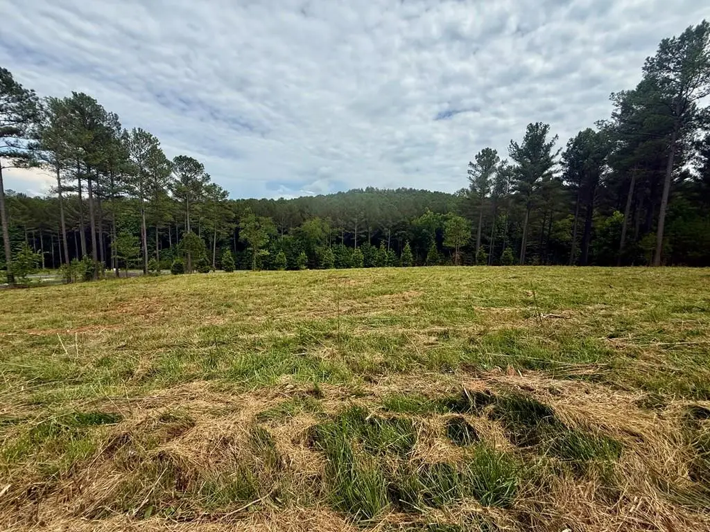 0 Stables Loop, Blairsville, GA 30512 - #1