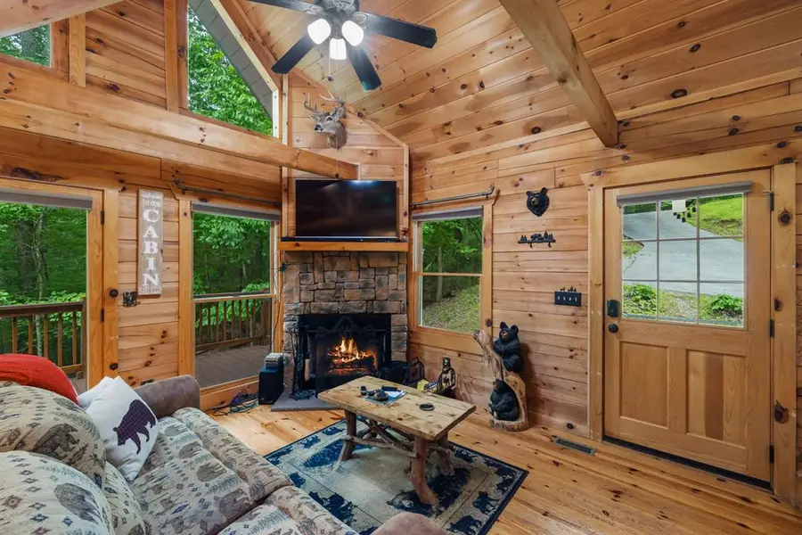 35 Noel Court, Ellijay, GA 30540 - #2