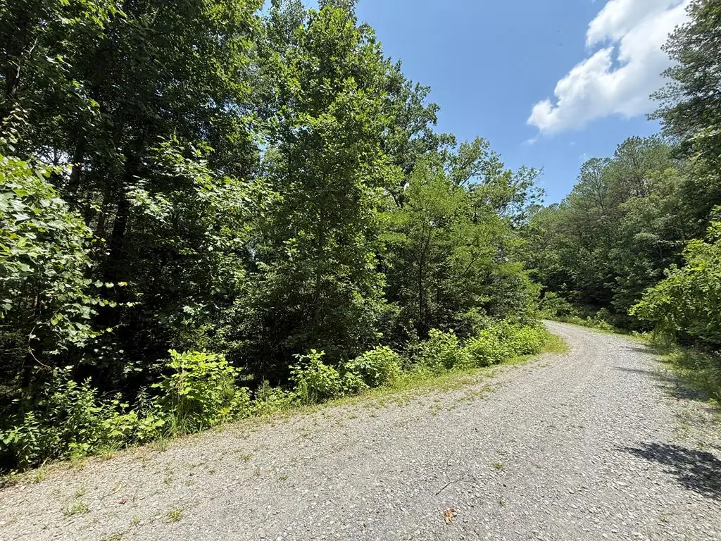 Lot E9 Reece Mountain Road, Ellijay, GA 30536 - #1