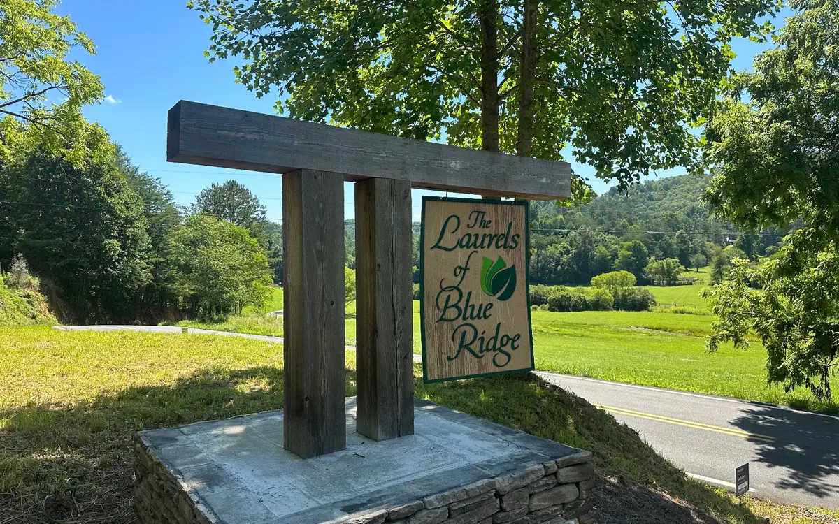 LT12 Mountain Laurel Ridge, Mineral Bluff, GA 30559 - #1