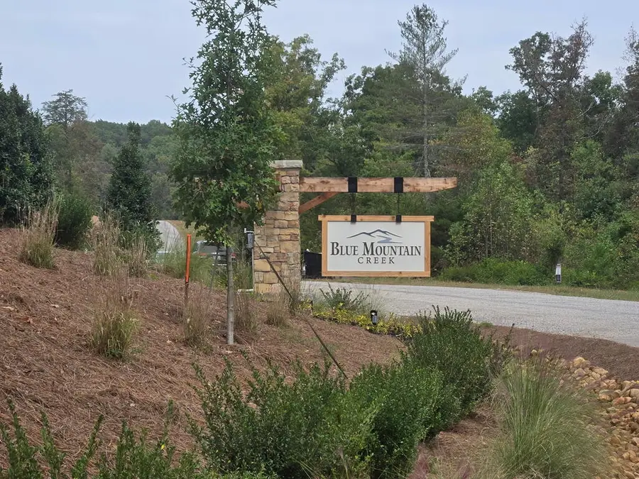 396 Greenfield Road, Morganton, GA 30560 - #3