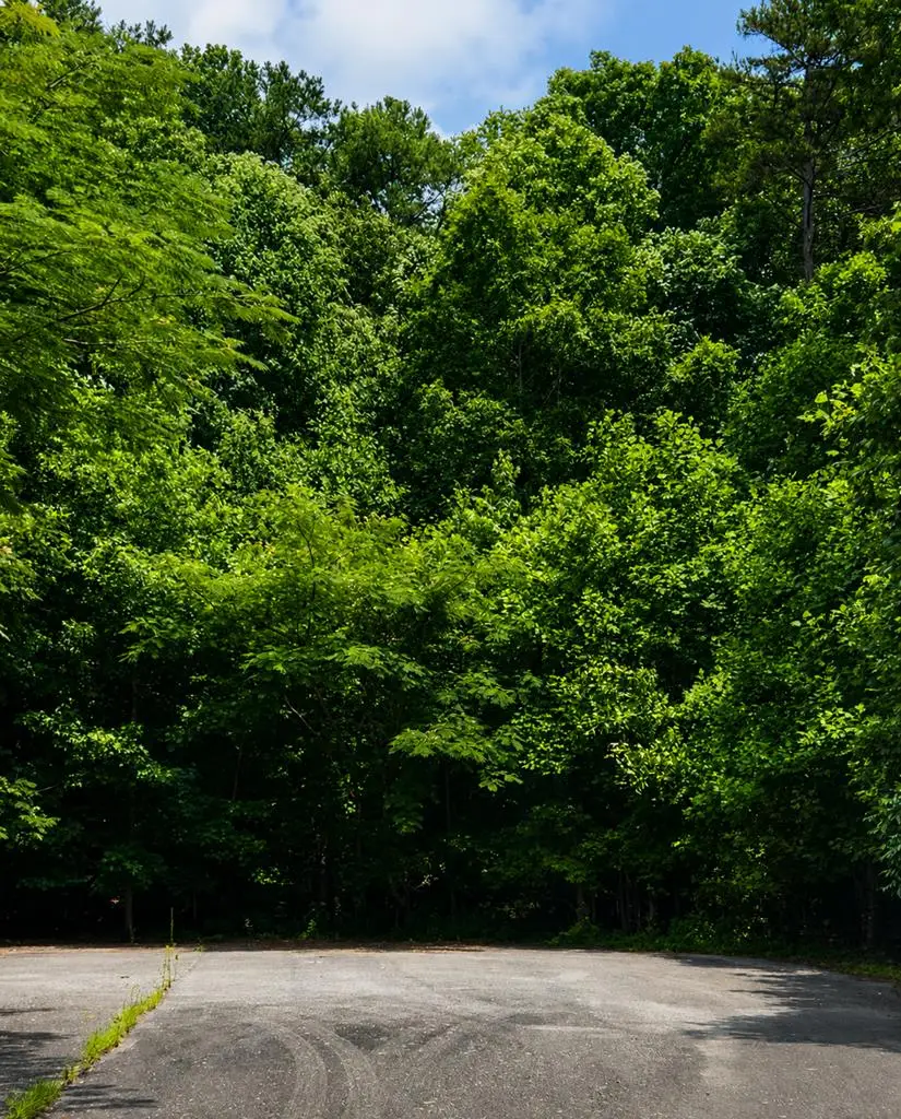 4 Lots Kelly Lane, Ellijay, GA 30540 - #3