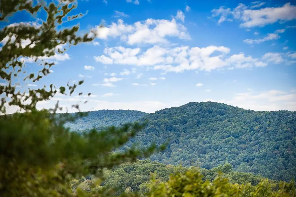 Lot 16 Buckskin Drive, Blue Ridge, GA 30513 - #1