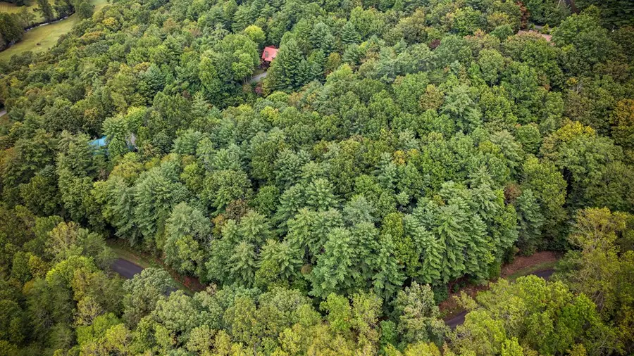 Lot 16 Buckskin Drive, Blue Ridge, GA 30513 - #3