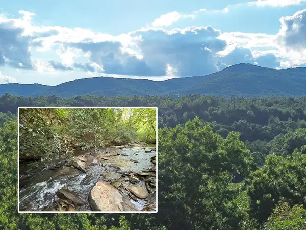 Lot 19 Mt. Springer Road, Ellijay, GA 30540