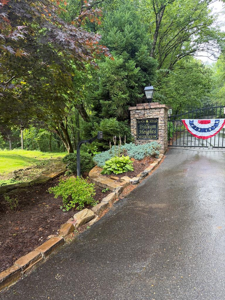 LOT 30A Trillium Heights, Hayesville, NC 28904 - #2