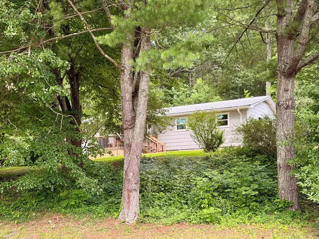 203 Jones Street, Blairsville, GA 30512 - #1