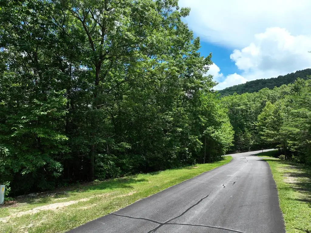 122 Cloudland Drive, Ellijay, GA 30536 - #1