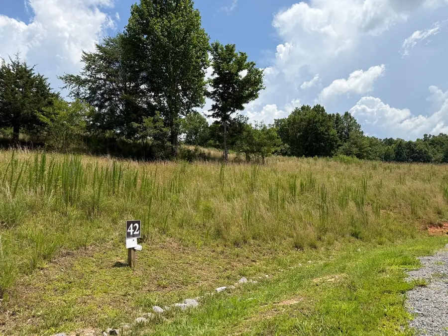 Lot 42 Big Valley Overlook, Morganton, GA 30560 - #2