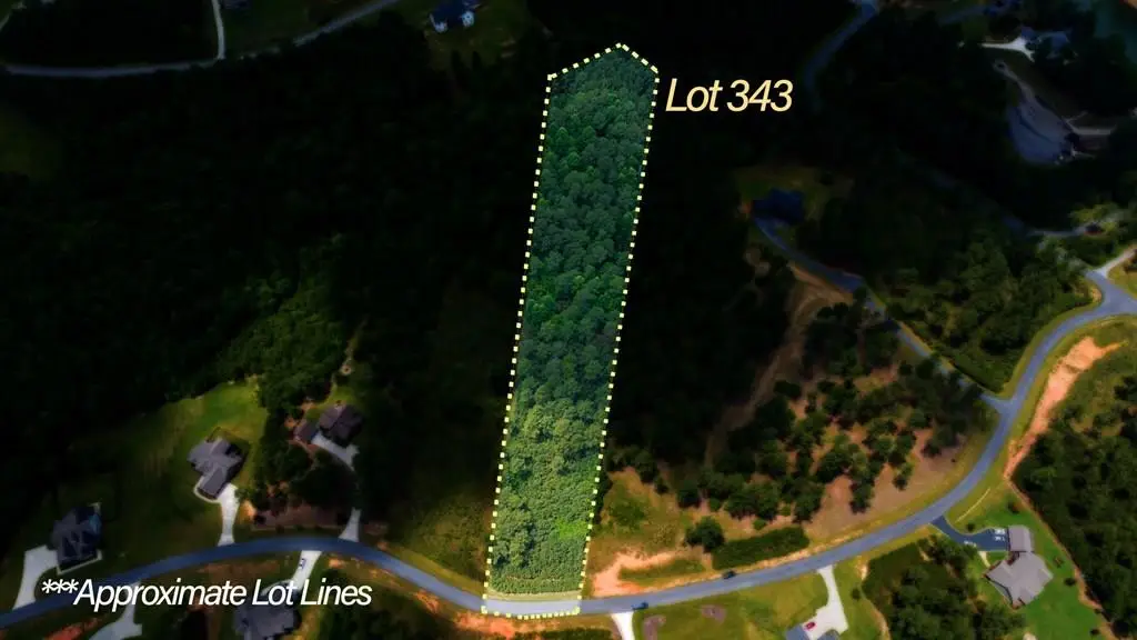 Lot 343 Loop Lane, Blairsville, GA 30512 - #1