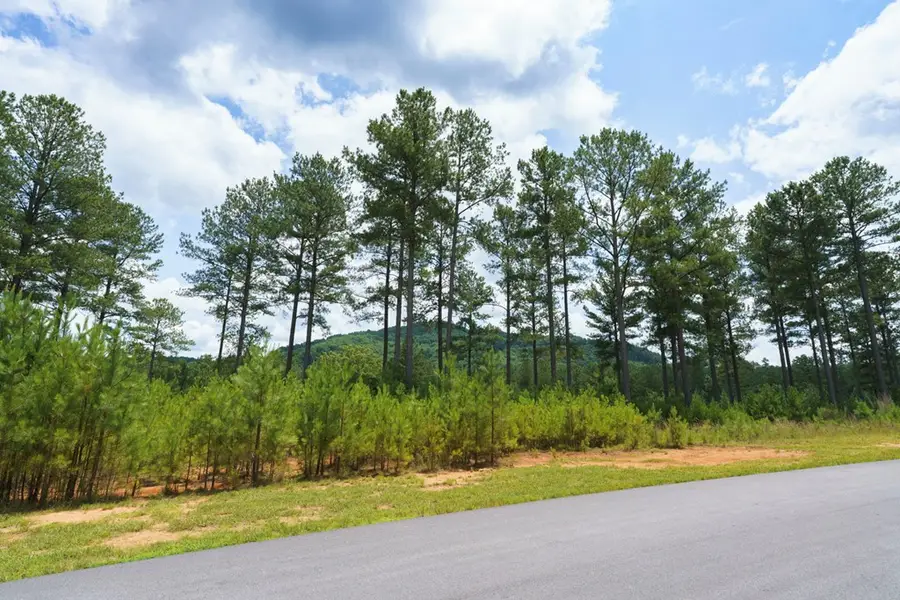 Lot 343 Loop Lane, Blairsville, GA 30512 - #3