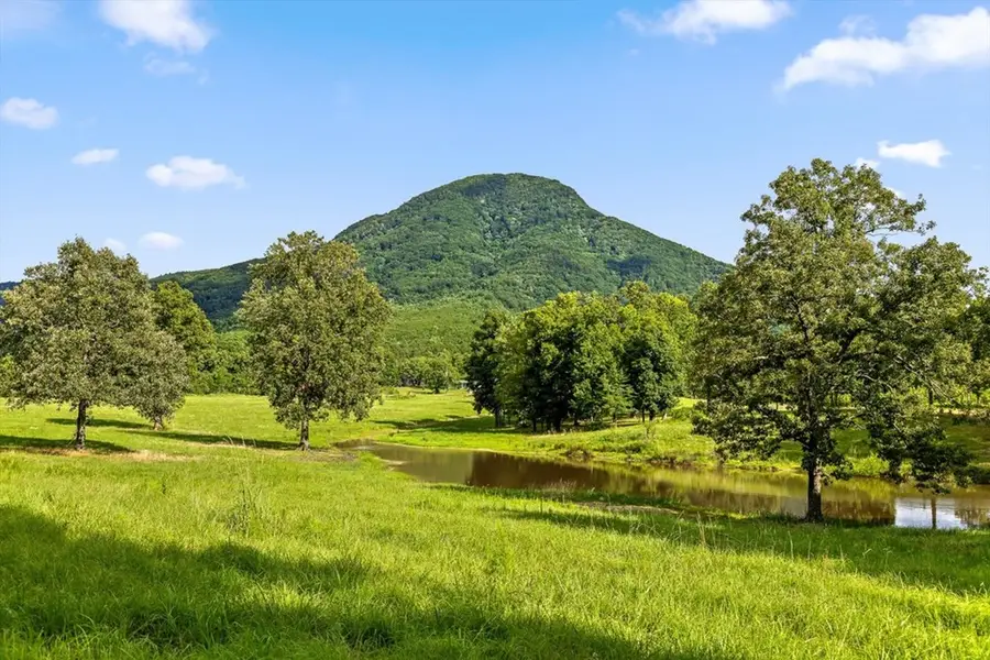 0 Tom Terry Road, Chatsworth, GA 30705 - #3