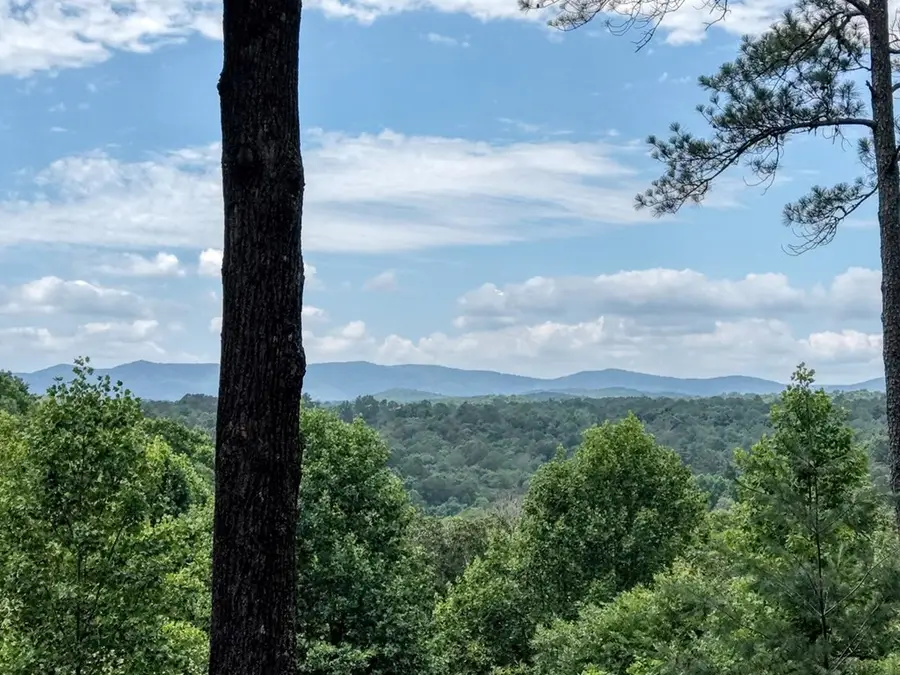 119 Bear Court, Ellijay, GA 30540 - #3