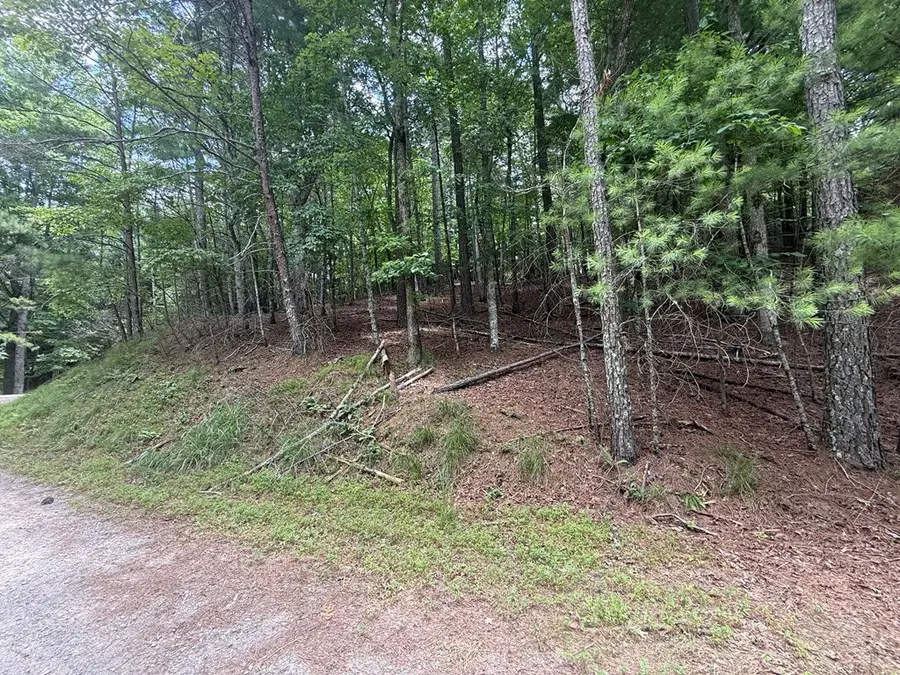 lot 1336 Lyric Lane, Ellijay, GA 30540 - #2