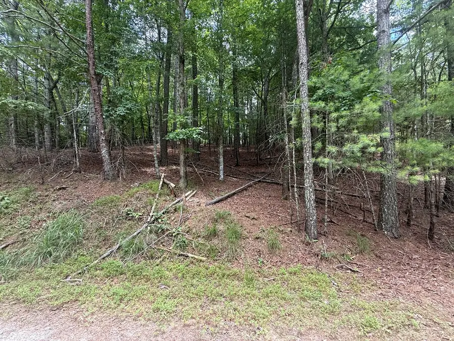 lot 1336 Lyric Lane, Ellijay, GA 30540 - #3
