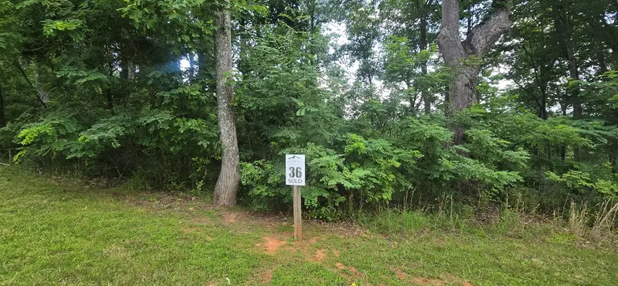 001 Winding Ridge, Blairsville, CA 30512 - #3