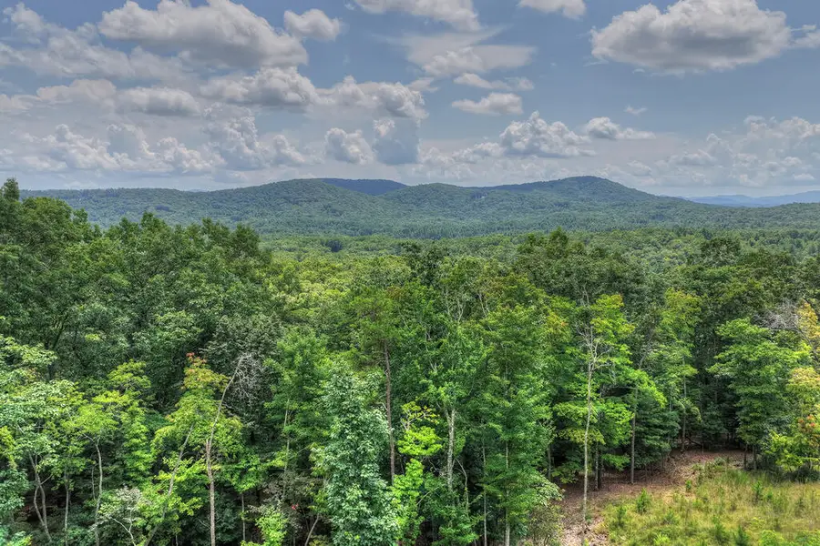 25 Boundless Trail, Morganton, GA 30560 - #3